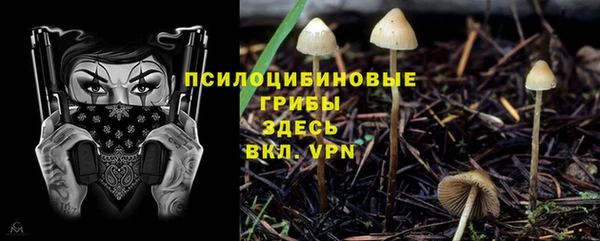 а пвп мука Абаза