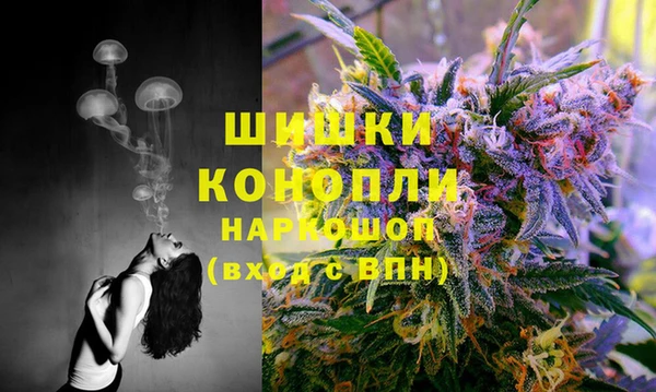 а пвп мука Абаза