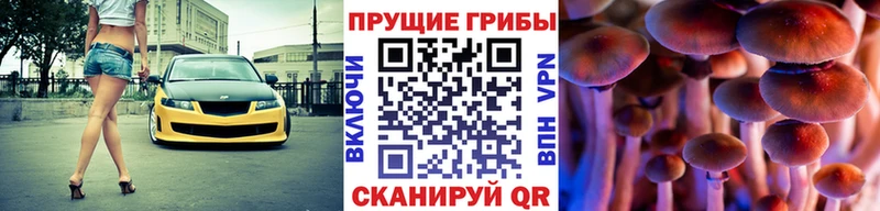 Псилоцибиновые грибы Psilocybine cubensis  наркошоп  Урус-Мартан 
