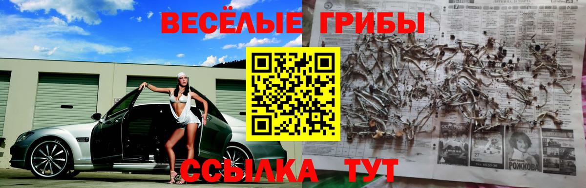 Псилоцибиновые грибы Psilocybine cubensis  Вход с VPN  Псилоцибиновые грибы Magic Shrooms  Урус-Мартан 